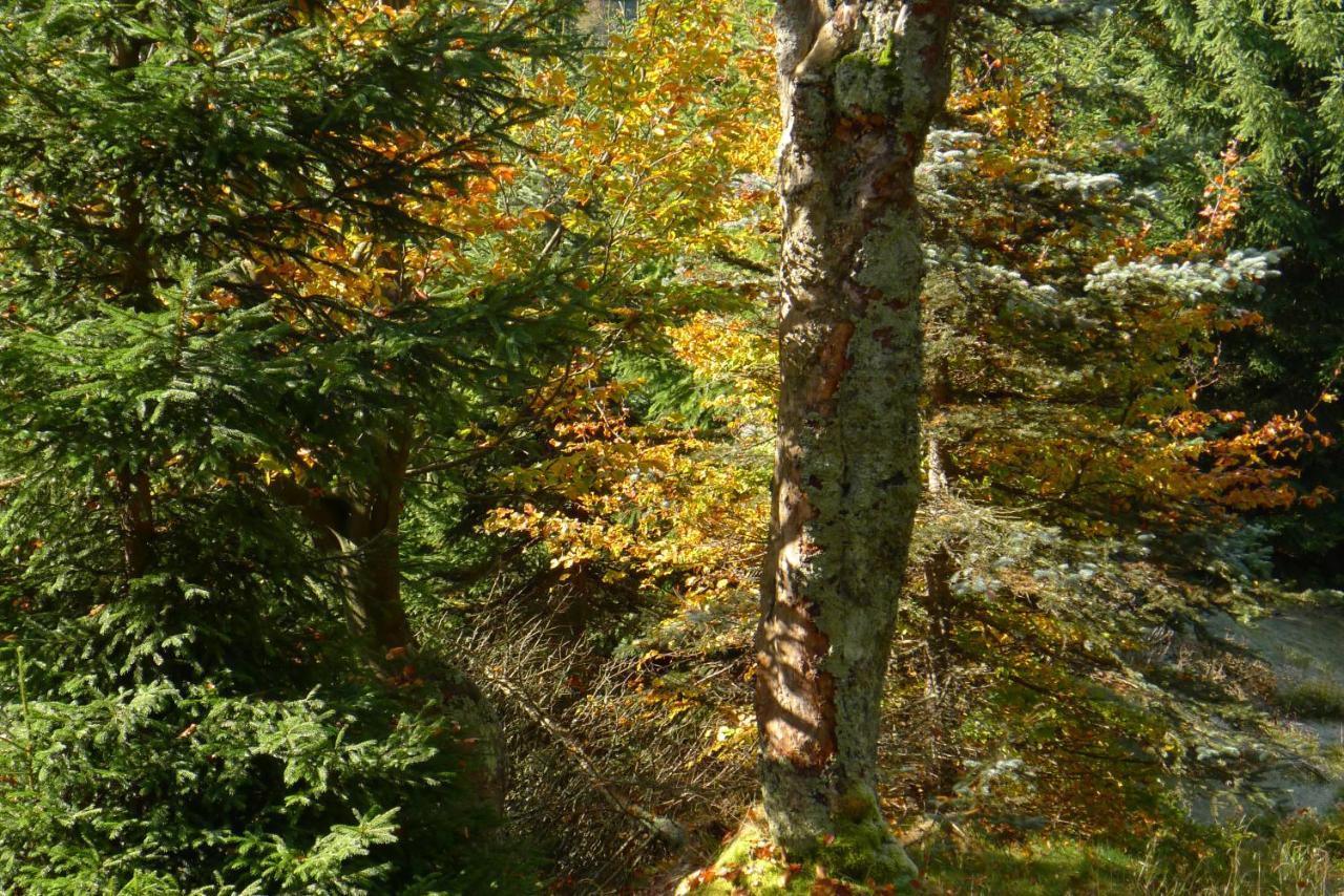 Retreat Hejnice (Liberec)
